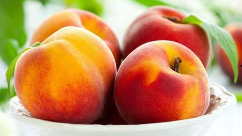 娱乐吃瓜酱橙色