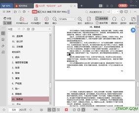 娱乐圈吃瓜pdf,PDF文件深度解析